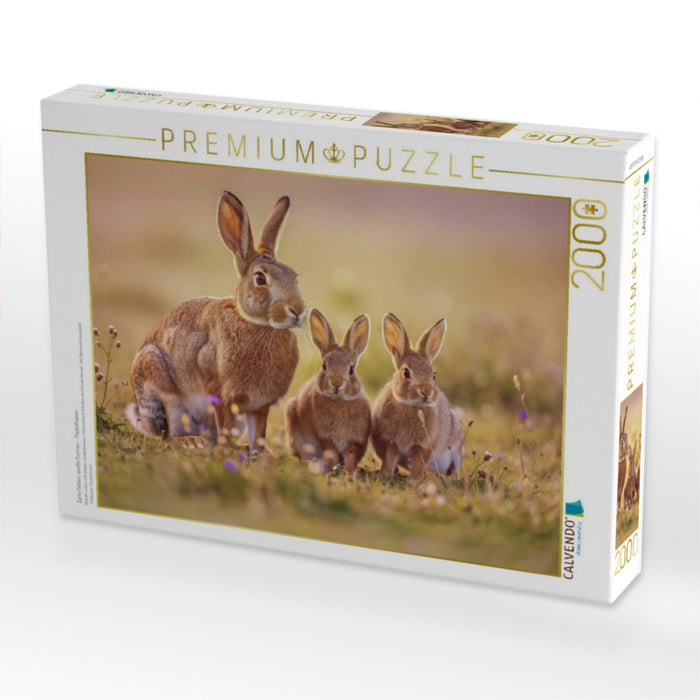 Zarte Farben, sanfte Formen – Pastellhasen. - CALVENDO Foto-Puzzle'