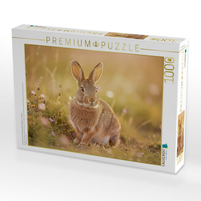 So süß wie der Frühling selbst: Feldhasen in Pastell. - CALVENDO Foto-Puzzle'