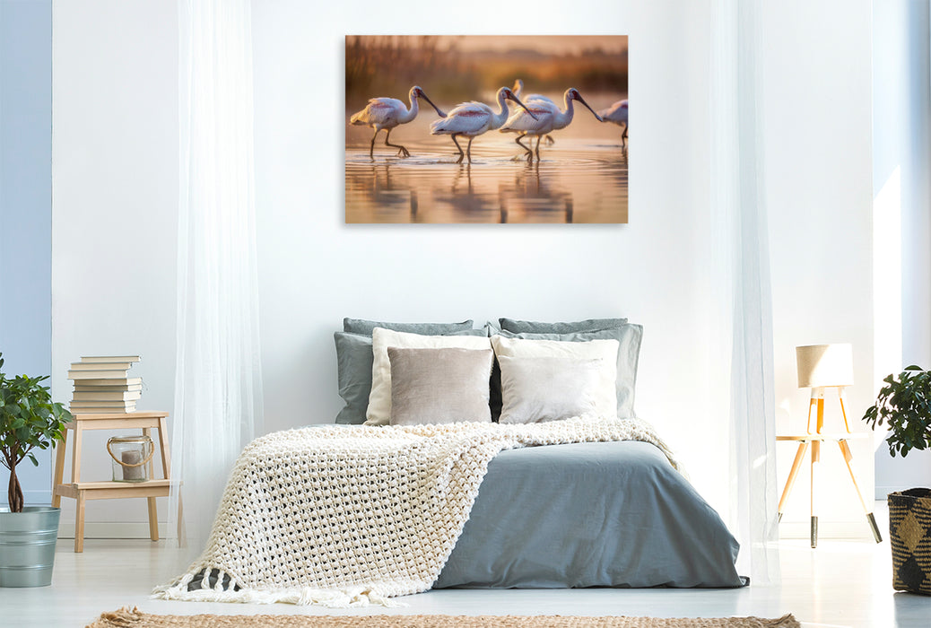 Premium Textil-Leinwand Löffelreiher – inspiriert von der Natur.