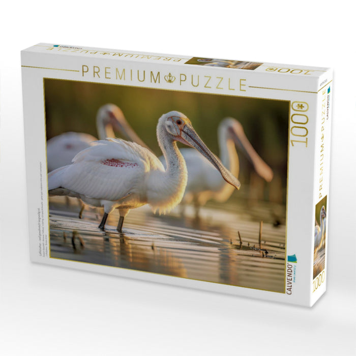 Löffelreiher – weil gewöhnlich langweilig ist. - CALVENDO Foto-Puzzle'