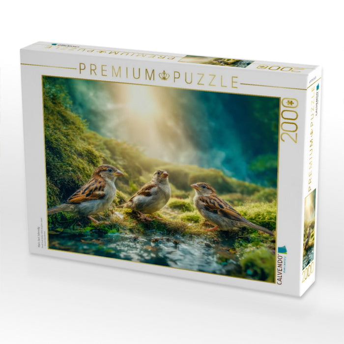 Klein, laut, lebendig - CALVENDO Foto-Puzzle'