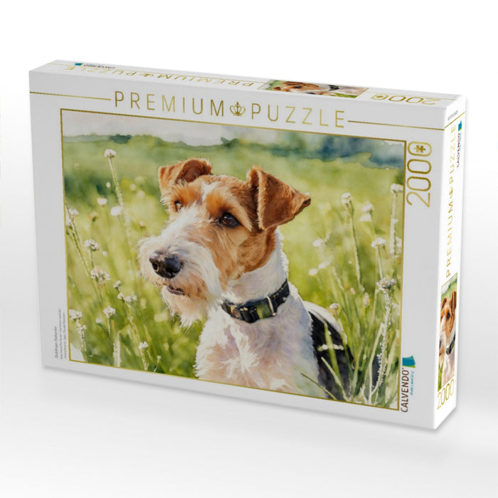 Drahthaar-Foxterrier - CALVENDO Foto-Puzzle'