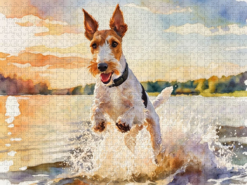 Drahthaar-Foxterrier - sommerliches Vergnügen - CALVENDO Foto-Puzzle'