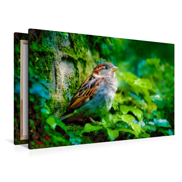 Premium Textil-Leinwand Die Poesie des Alltags