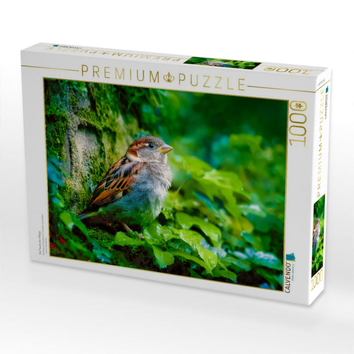 Die Poesie des Alltags - CALVENDO Foto-Puzzle'