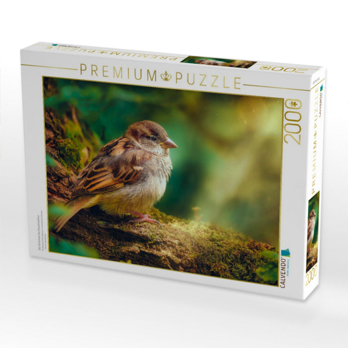 Die Schönheit des Gewöhnlichen - CALVENDO Foto-Puzzle'