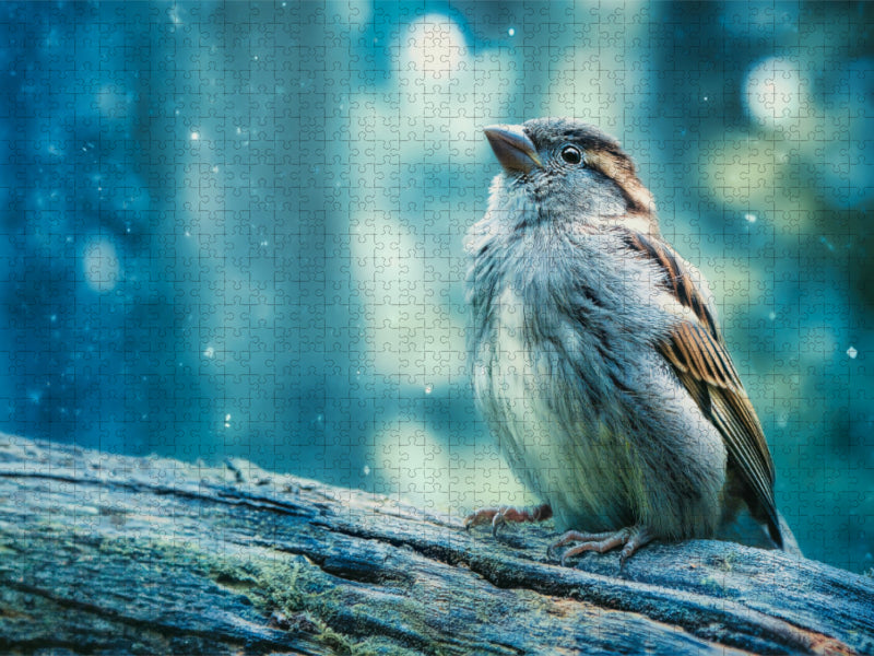 Ein Blick auf das Unscheinbare - CALVENDO Foto-Puzzle'