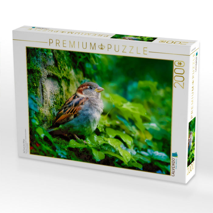 Die Poesie des Alltags - CALVENDO Foto-Puzzle'