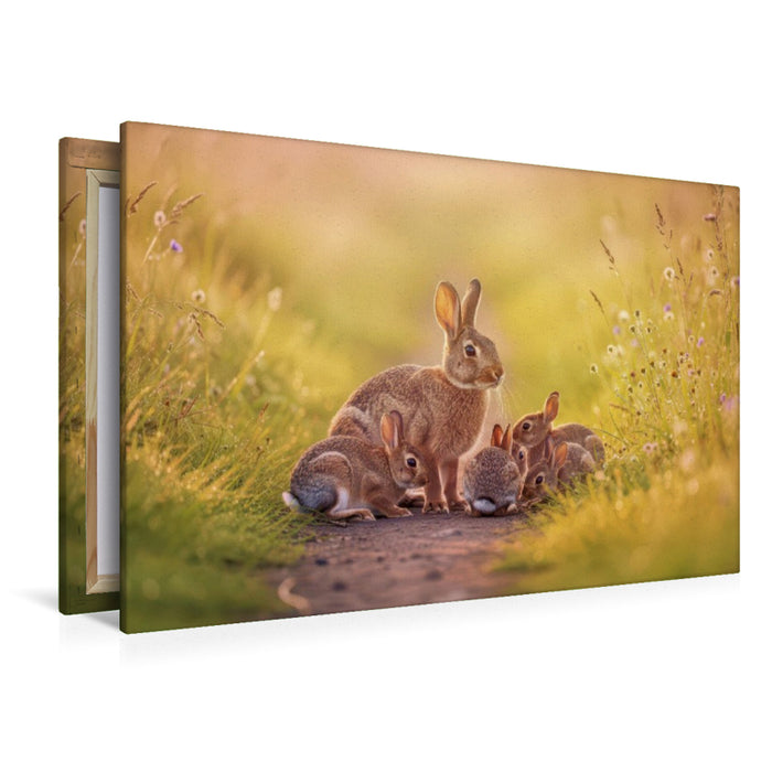 Premium Textil-Leinwand Ein Motiv aus dem Kalender Zwischen den Feldern