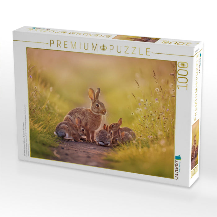 Ein Motiv aus dem Kalender Zwischen den Feldern - CALVENDO Foto-Puzzle'