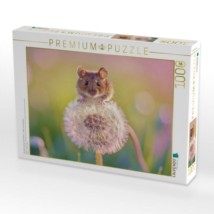 Tierwelt zwischen den Feldern – näher, als du denkst. - CALVENDO Foto-Puzzle'