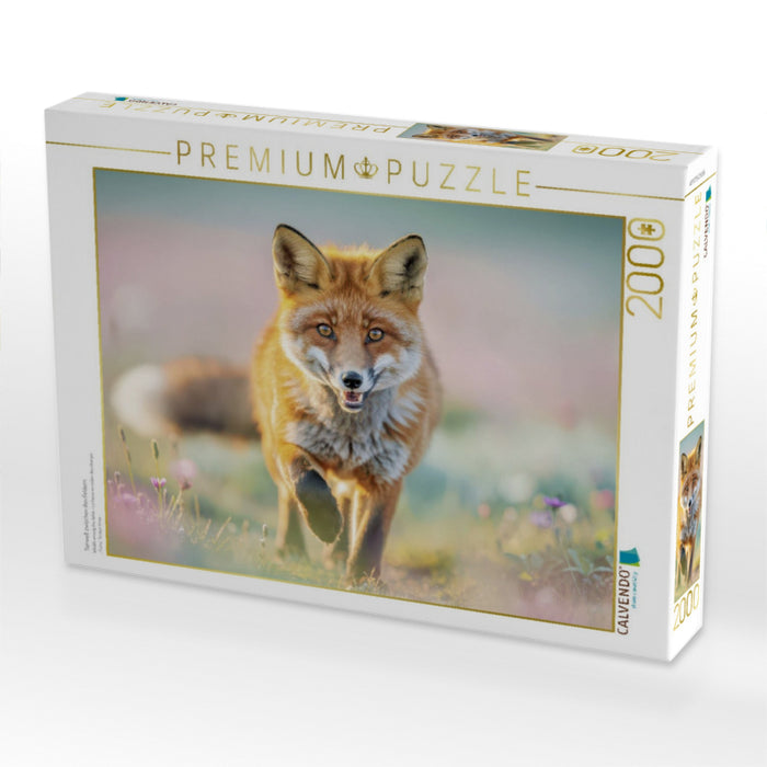 Tierwelt zwischen den Feldern. - CALVENDO Foto-Puzzle'