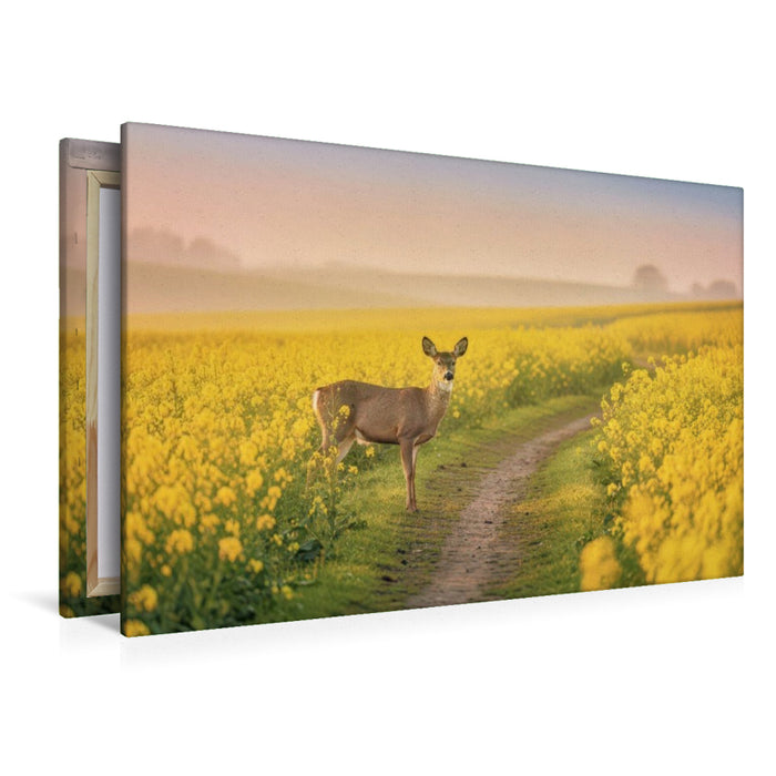 Premium Textil-Leinwand Felder voller Leben – Geschichten, die die Natur schreibt.