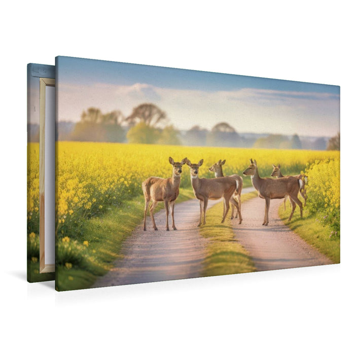 Premium Textil-Leinwand Ein Motiv aus dem Kalender Zwischen den Feldern