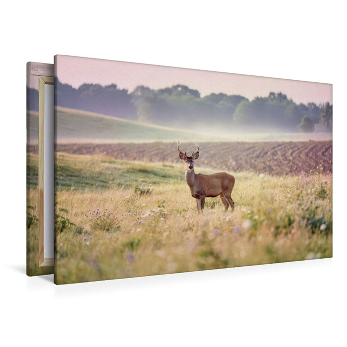Premium Textil-Leinwand Zwischen den Feldern: Heimat für Tiere.