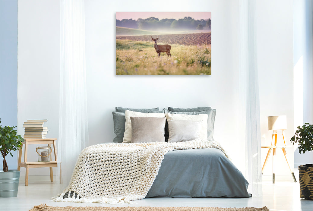 Premium Textil-Leinwand Zwischen den Feldern: Heimat für Tiere.