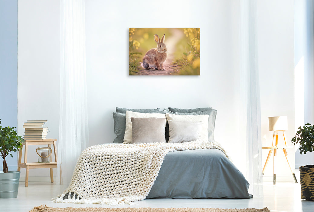 Premium Textil-Leinwand Zwischen den Feldern blüht Vielfalt.