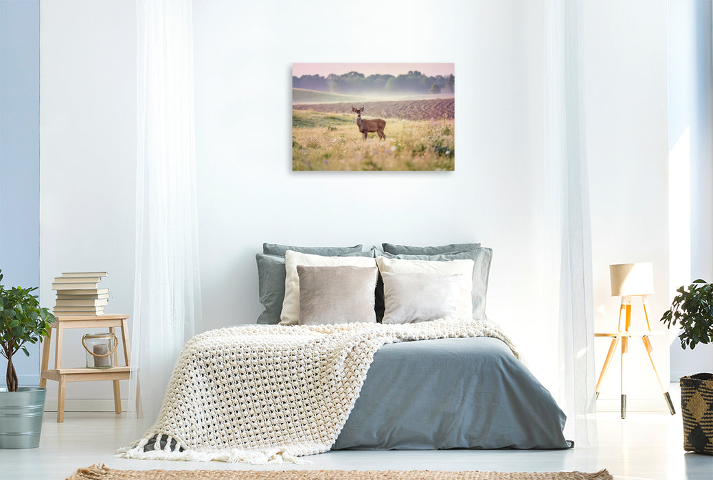 Premium Textil-Leinwand Zwischen den Feldern: Heimat für Tiere.