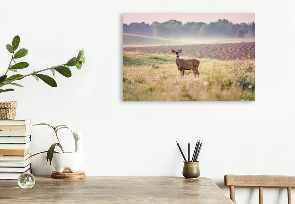 Premium Textil-Leinwand Zwischen den Feldern: Heimat für Tiere.
