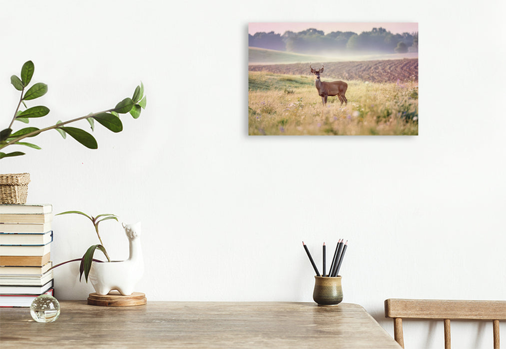 Premium Textil-Leinwand Zwischen den Feldern: Heimat für Tiere.