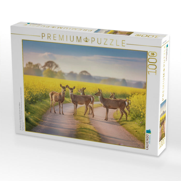 Ein Motiv aus dem Kalender Zwischen den Feldern - CALVENDO Foto-Puzzle'