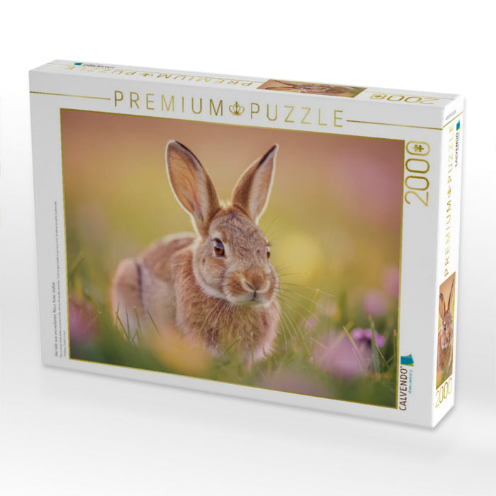 Hier lebt, was uns verbindet: Natur, Ruhe, Vielfalt. - CALVENDO Foto-Puzzle'
