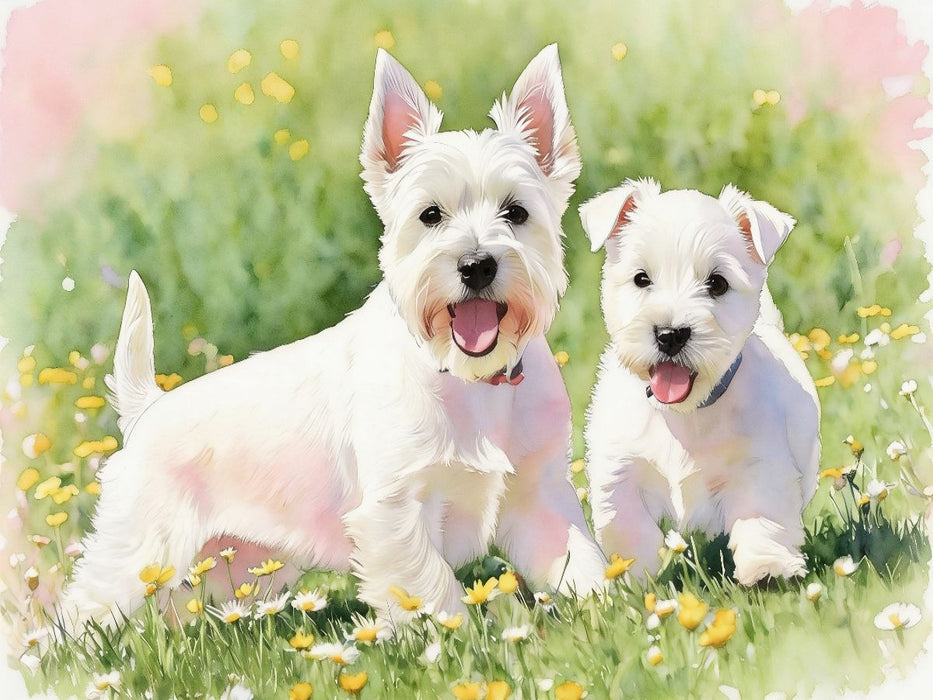 West Highland White Terrier - CALVENDO Foto-Puzzle'