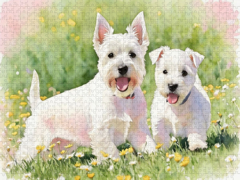 West Highland White Terrier - CALVENDO Foto-Puzzle'