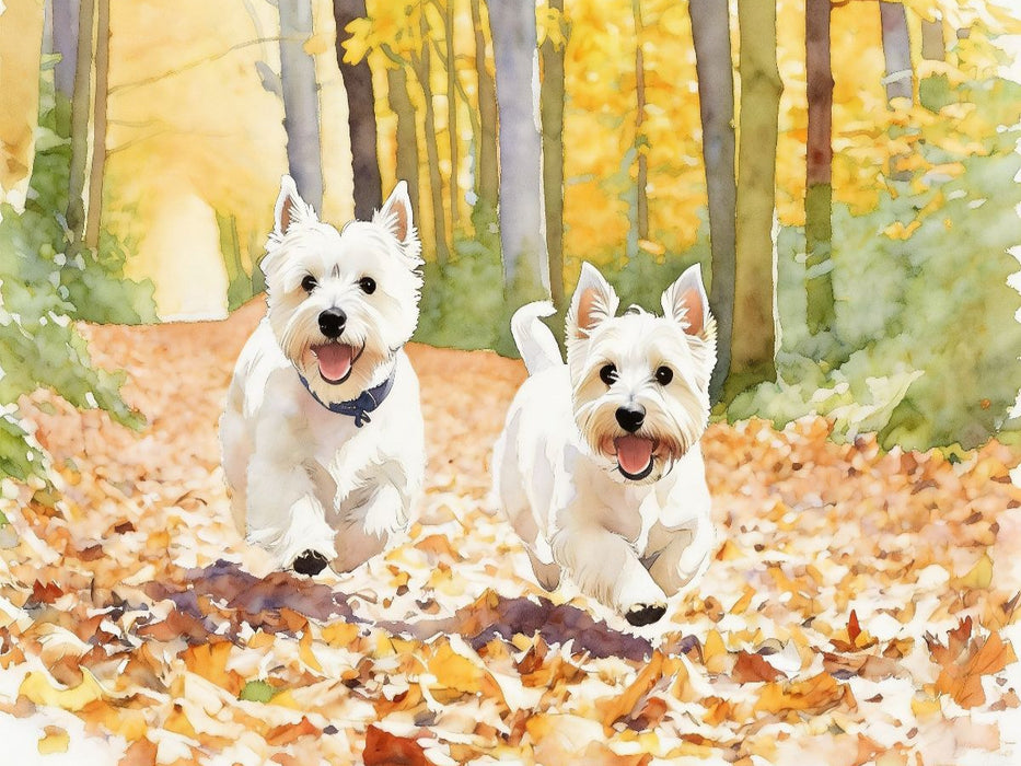 West Highland White Terrier - CALVENDO Foto-Puzzle'