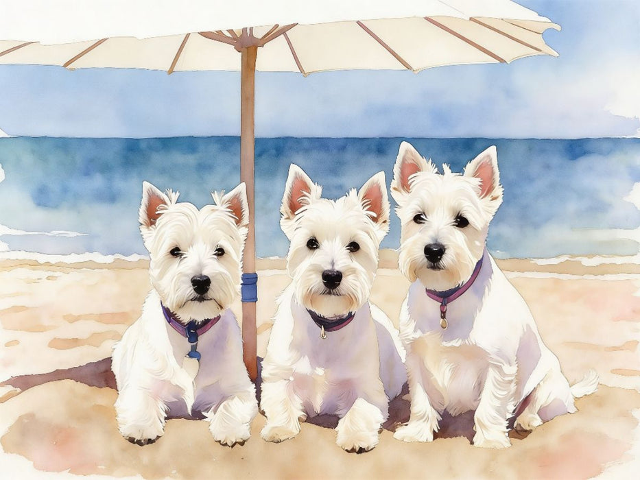 West Highland White Terrier - CALVENDO Foto-Puzzle'