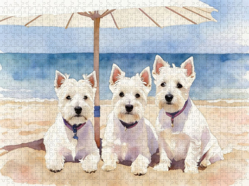 West Highland White Terrier - CALVENDO Foto-Puzzle'
