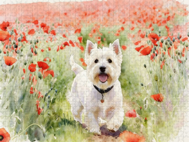 West Highland White Terrier - CALVENDO Foto-Puzzle'