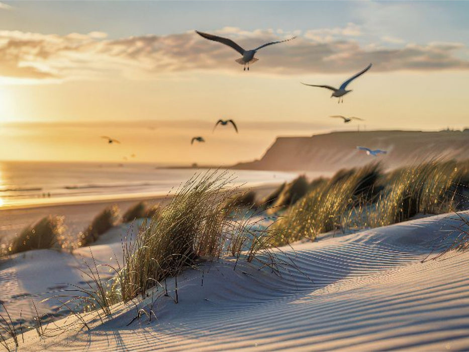 Weite, die nach Sommer schmeckt. - CALVENDO Foto-Puzzle'