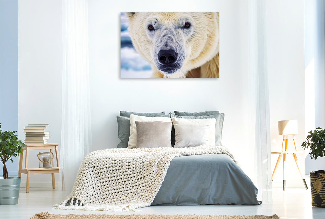 Premium Textil-Leinwand Ein Motiv aus dem Kalender Die Augen der Wildnis