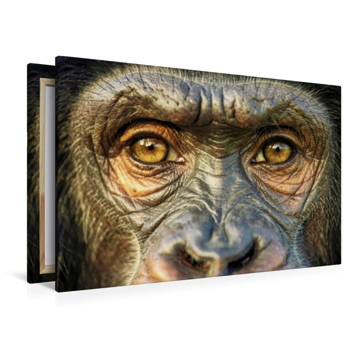 Premium Textil-Leinwand Ein Motiv aus dem Kalender Die Augen der Wildnis