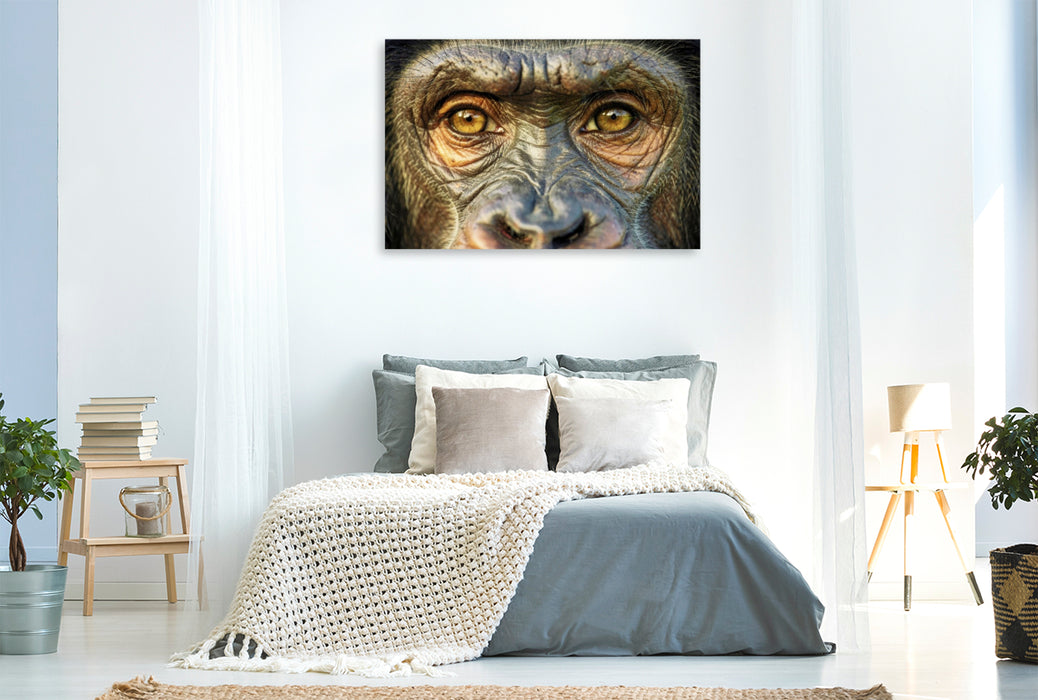 Premium Textil-Leinwand Ein Motiv aus dem Kalender Die Augen der Wildnis