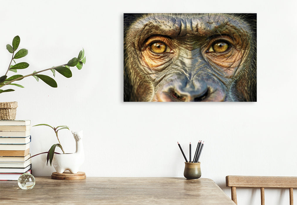 Premium Textil-Leinwand Ein Motiv aus dem Kalender Die Augen der Wildnis