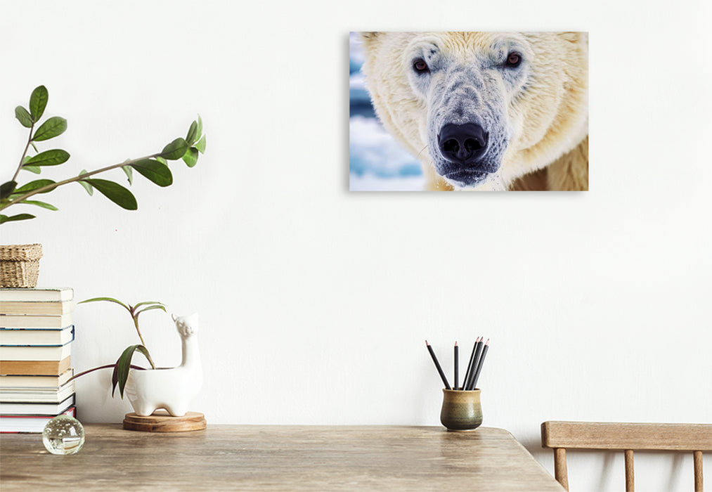 Premium Textil-Leinwand Ein Motiv aus dem Kalender Die Augen der Wildnis