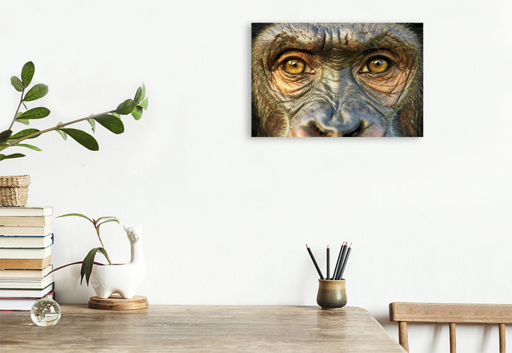 Premium Textil-Leinwand Ein Motiv aus dem Kalender Die Augen der Wildnis