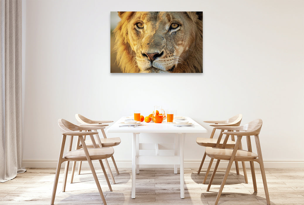Premium Textil-Leinwand Ein Motiv aus dem Kalender Die Augen der Wildnis