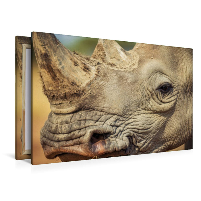 Premium Textil-Leinwand Ein Motiv aus dem Kalender Die Augen der Wildnis