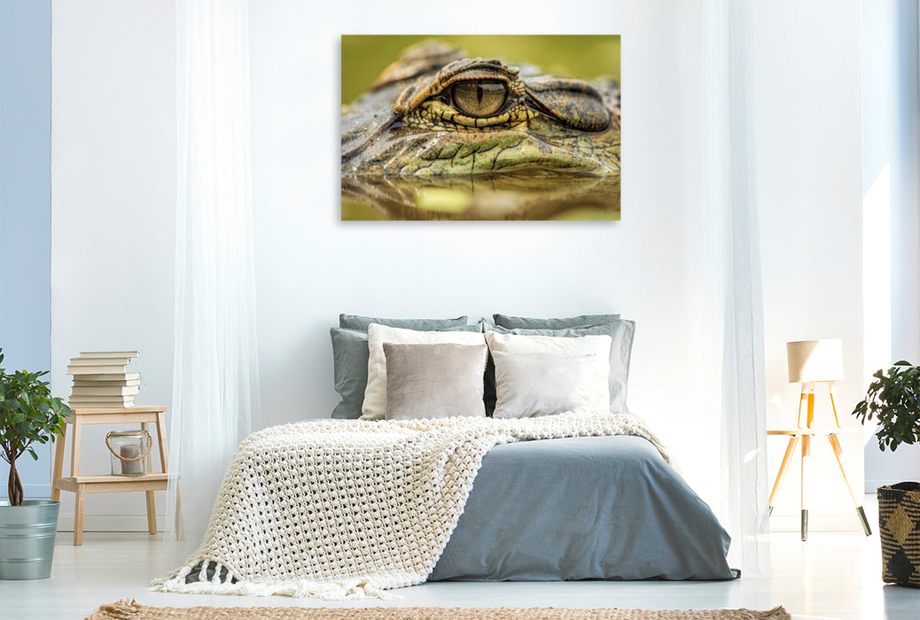 Premium Textil-Leinwand Wo die Wildnis atmet, öffnen sich ihre Augen.