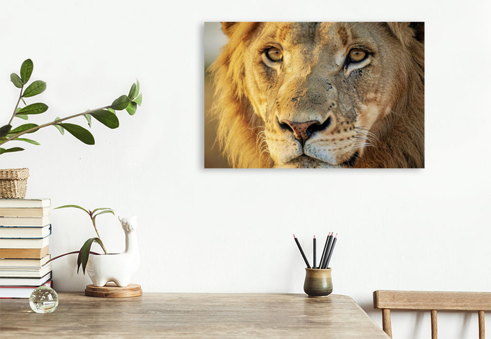 Premium Textil-Leinwand Ein Motiv aus dem Kalender Die Augen der Wildnis
