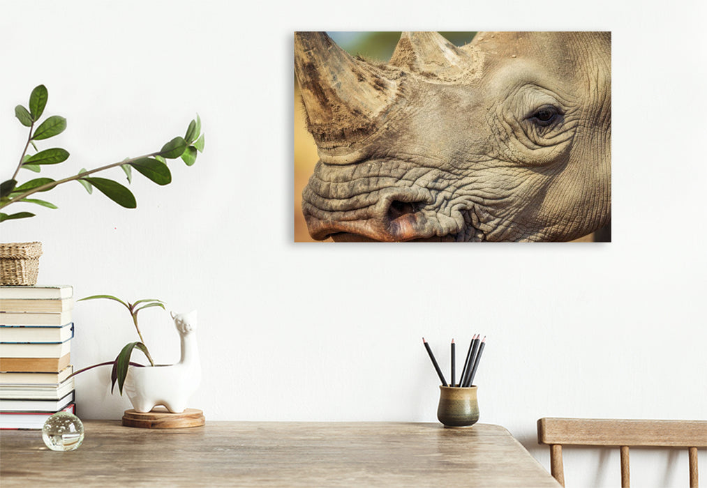 Premium Textil-Leinwand Ein Motiv aus dem Kalender Die Augen der Wildnis