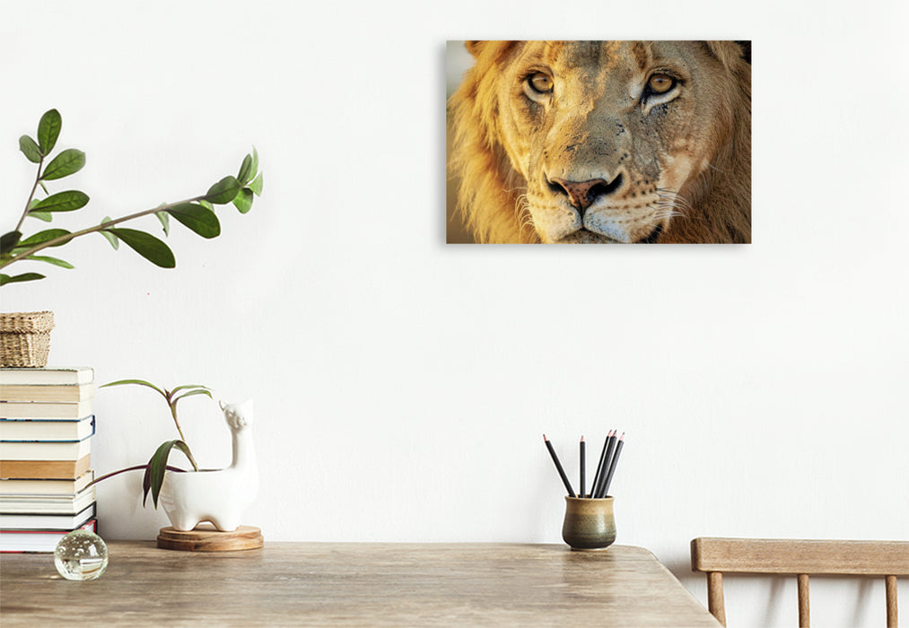 Premium Textil-Leinwand Ein Motiv aus dem Kalender Die Augen der Wildnis