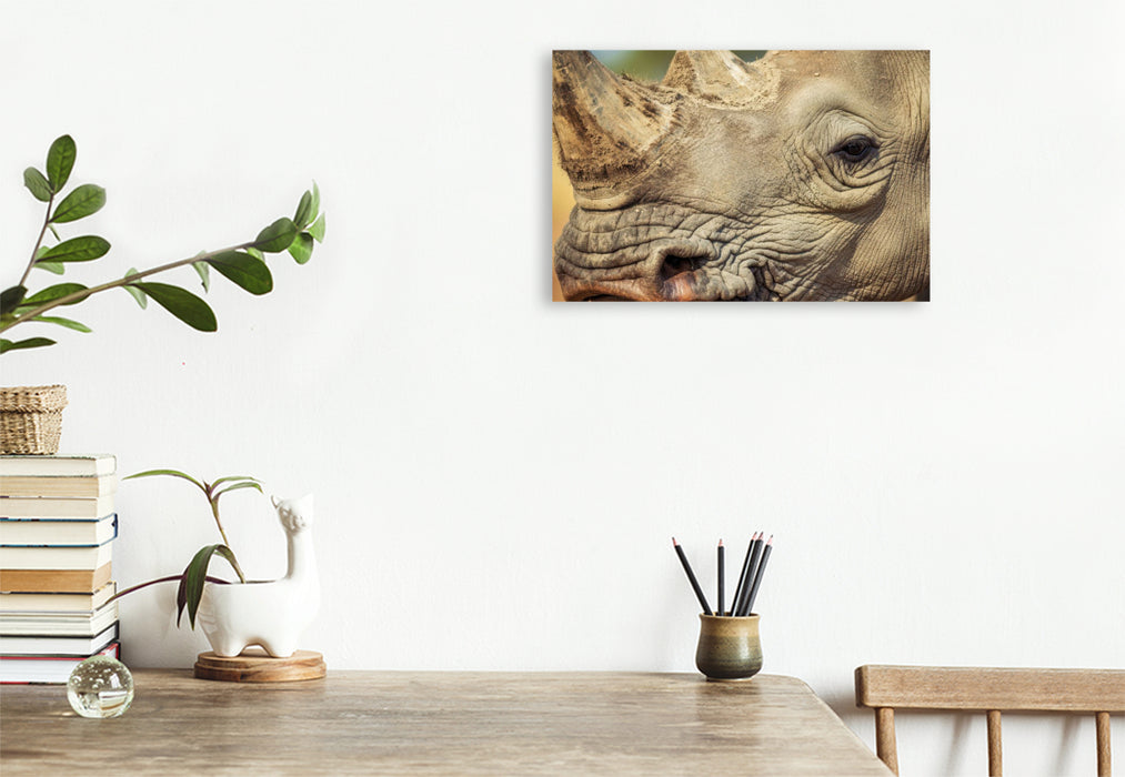 Premium Textil-Leinwand Ein Motiv aus dem Kalender Die Augen der Wildnis