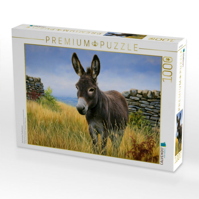 Esel vor einer Trockenmauer - CALVENDO Foto-Puzzle'