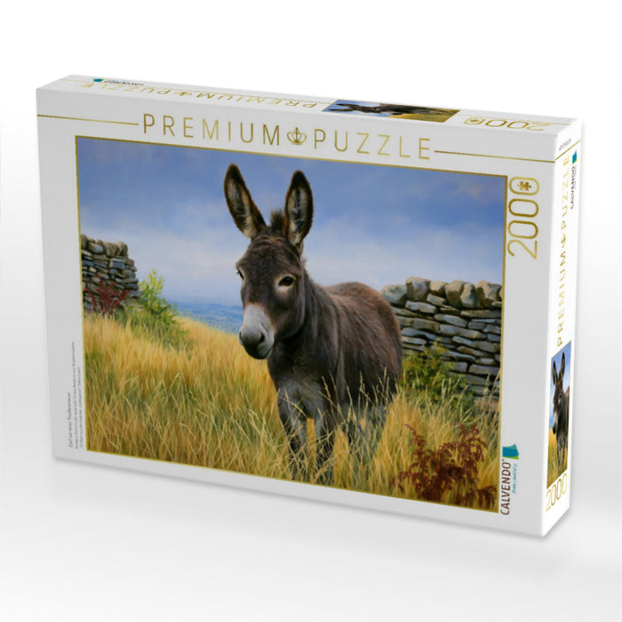 Esel vor einer Trockenmauer - CALVENDO Foto-Puzzle'