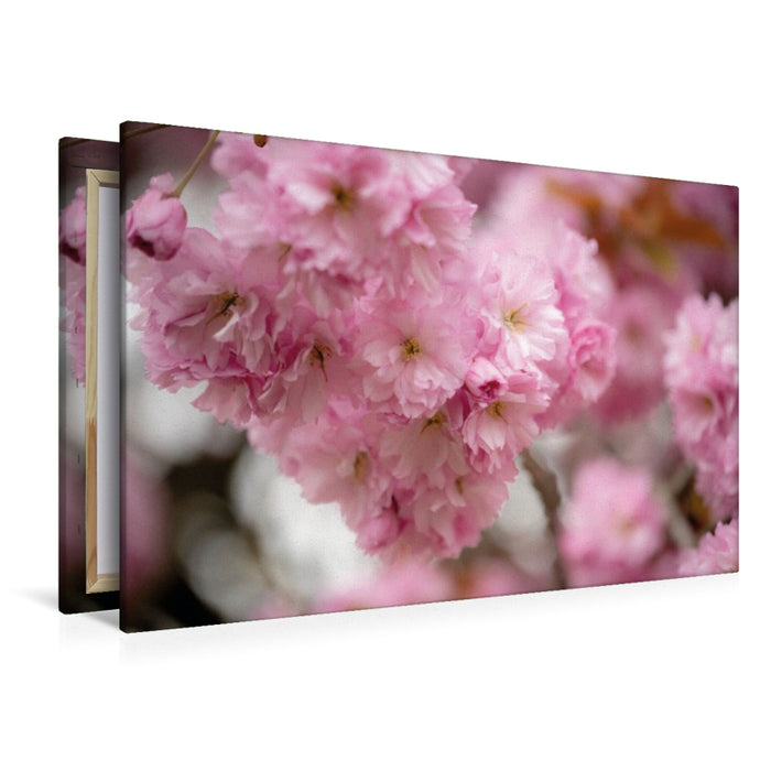 Premium Textil-Leinwand PonPons