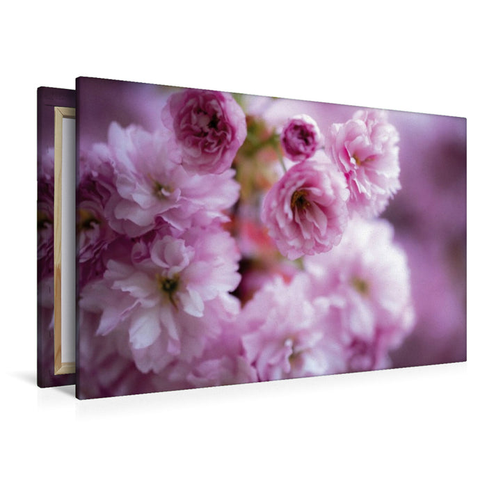 Premium Textil-Leinwand Volles Dutzend